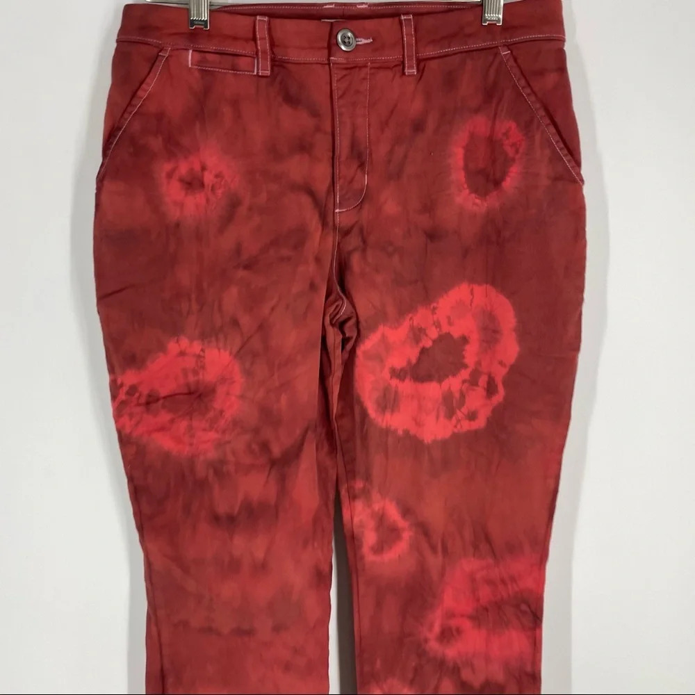 Garnet Hill patterned red pants chinos 6